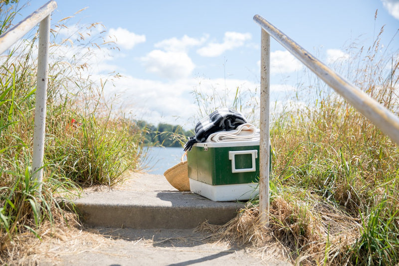 Schoolhouse Adventure: Day Trip to Sauvie Island