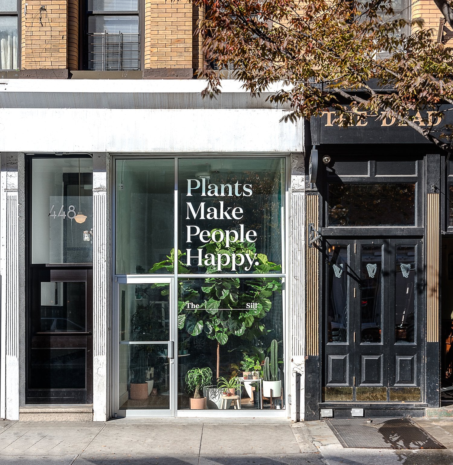 Happy at Home: A Houseplant Care Guide