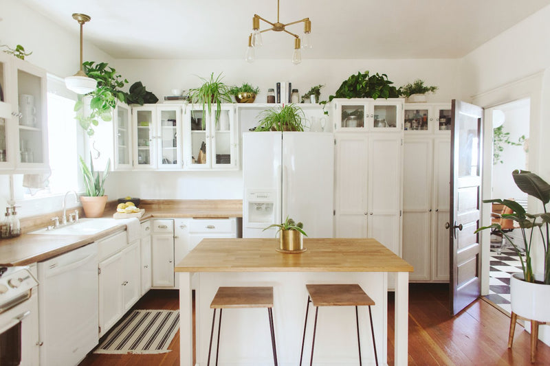kitchen with white cabinets and plants