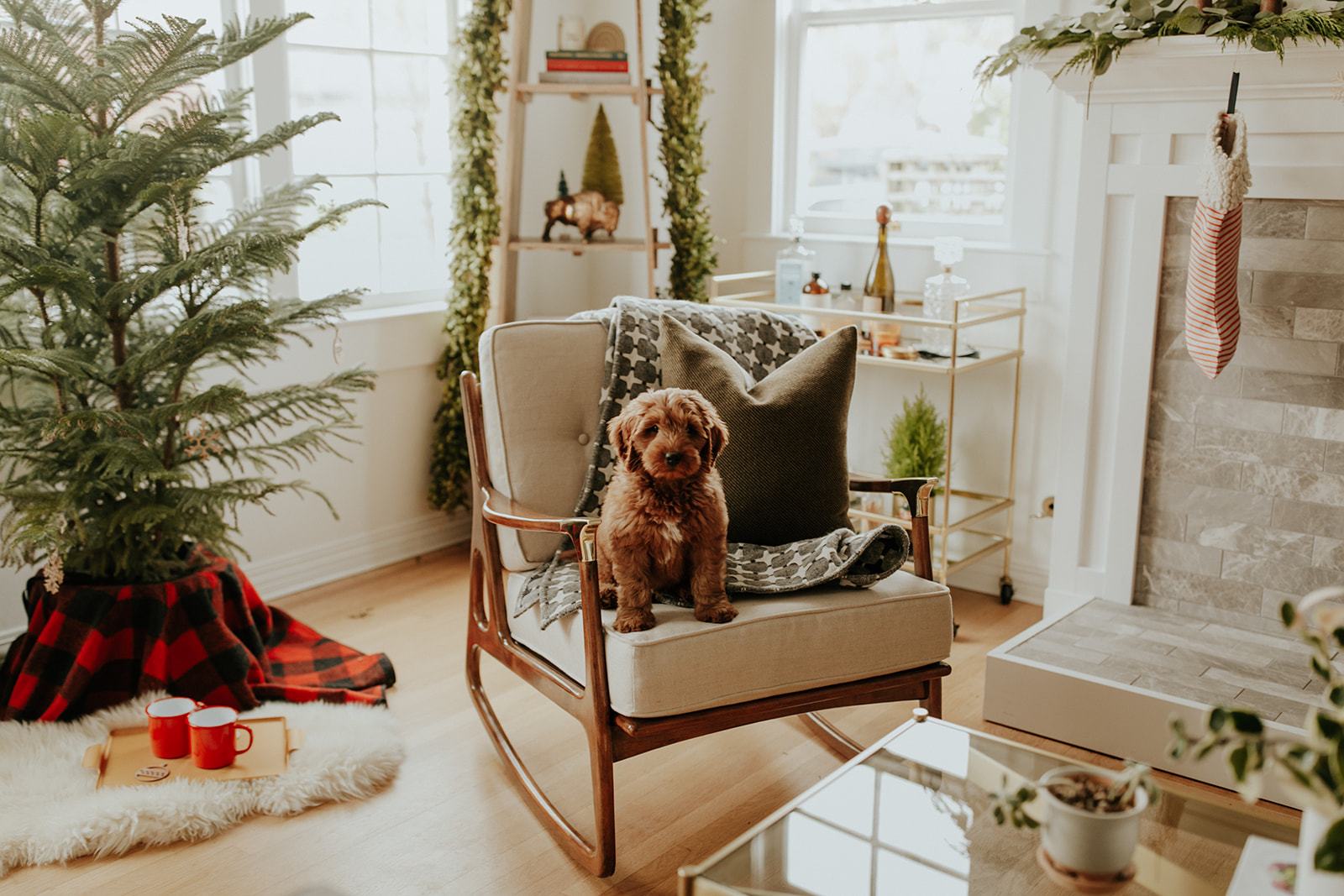 Holiday Home Tour: Amanda Jane Franz