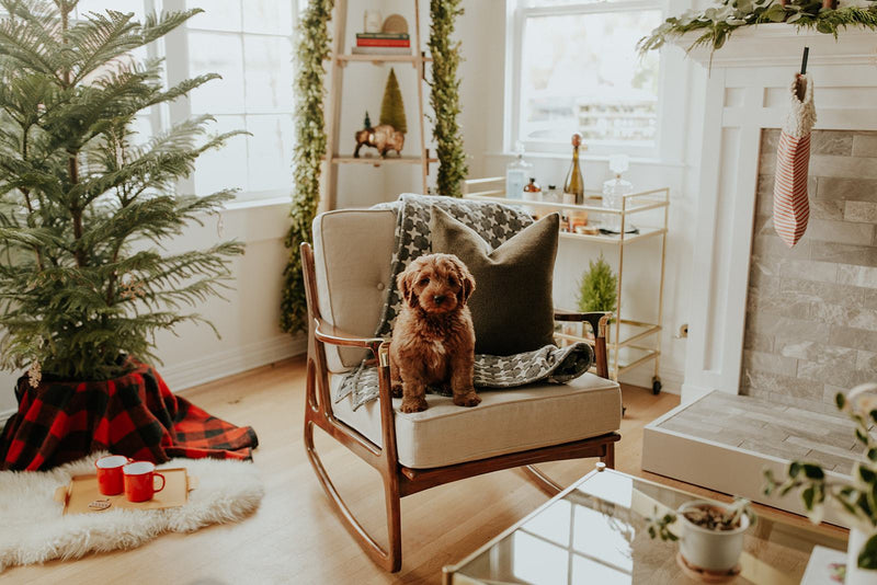 Holiday Home Tour: Amanda Jane Franz