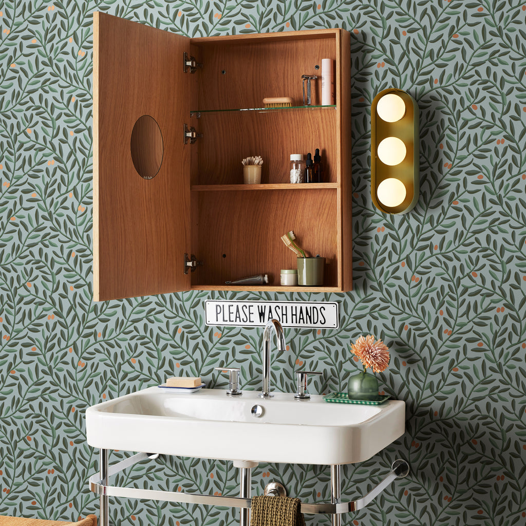Modern Medicine Cabinet