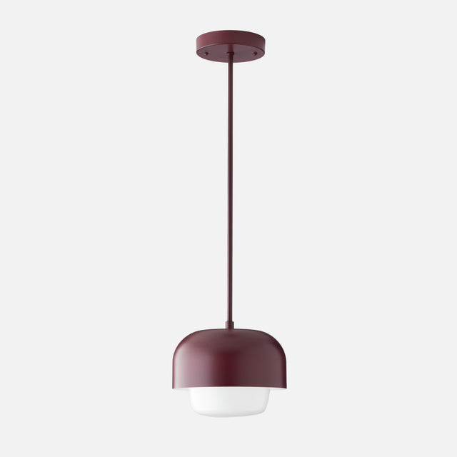 Ray 8