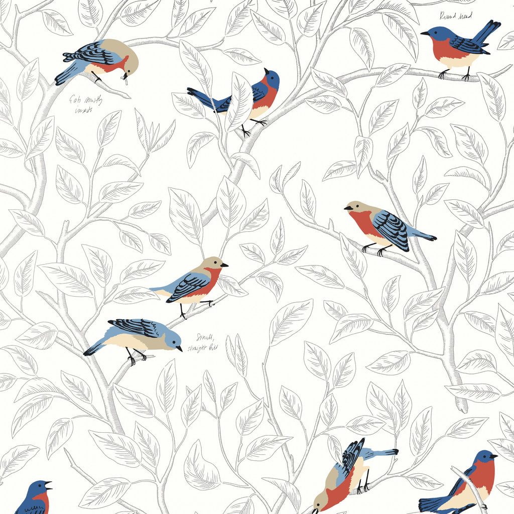 Field Guide Wallpaper