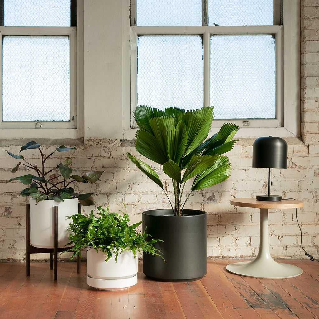 10" Cylinder Planter + Stand::Black::Hover
