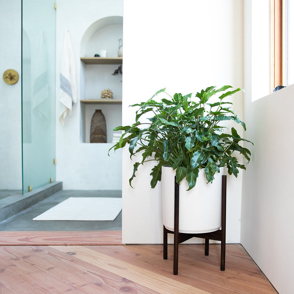 10" Cylinder Planter + Stand::White::Hover