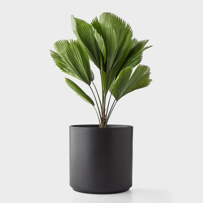 Cylinder Planter