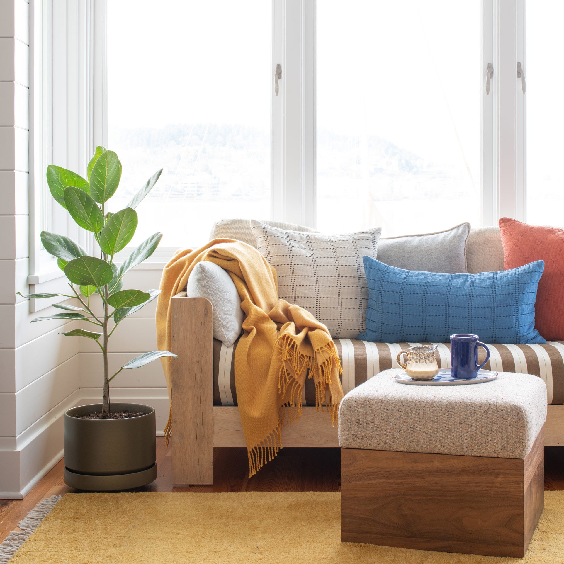 Perfect Plant Placement for Fall