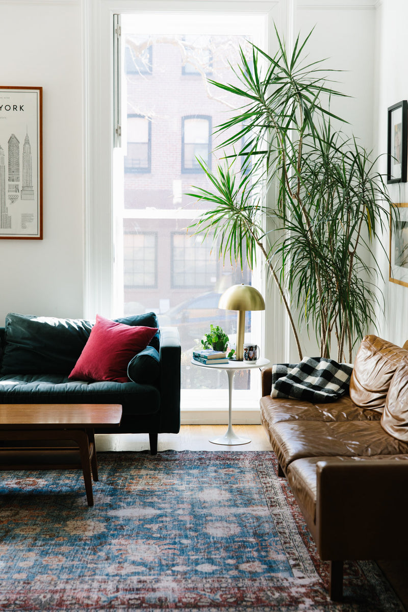 Joanna Goddard Q&A: On Life, Design, & The Cup of Jo Community