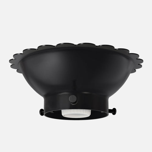 Fran 2.25" Surface Mount