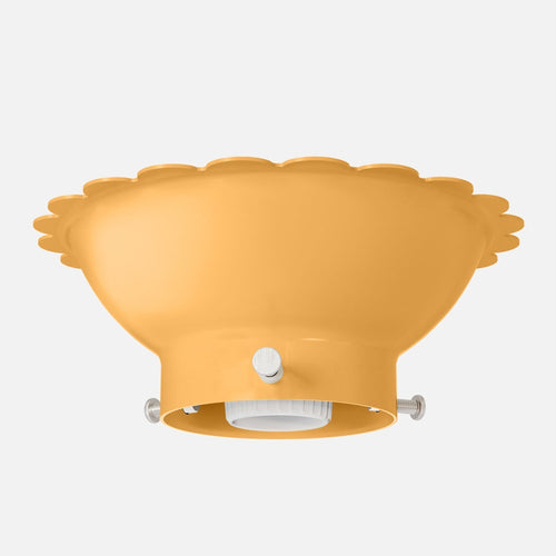 Fran 2.25" Surface Mount