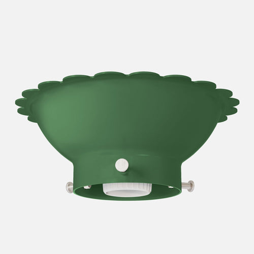 Fran 2.25" Surface Mount