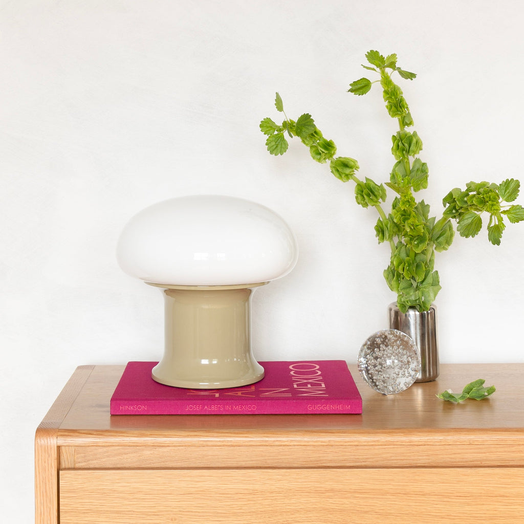 Rospo Table Lamp