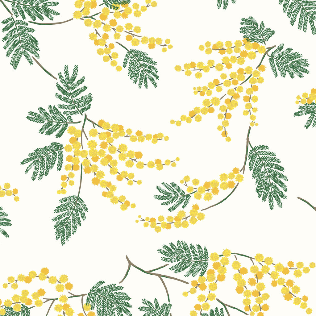 Acacia Flower Wallpaper