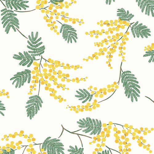 Acacia Flower Wallpaper