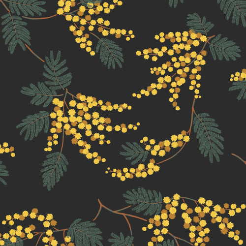 Acacia Flower Wallpaper