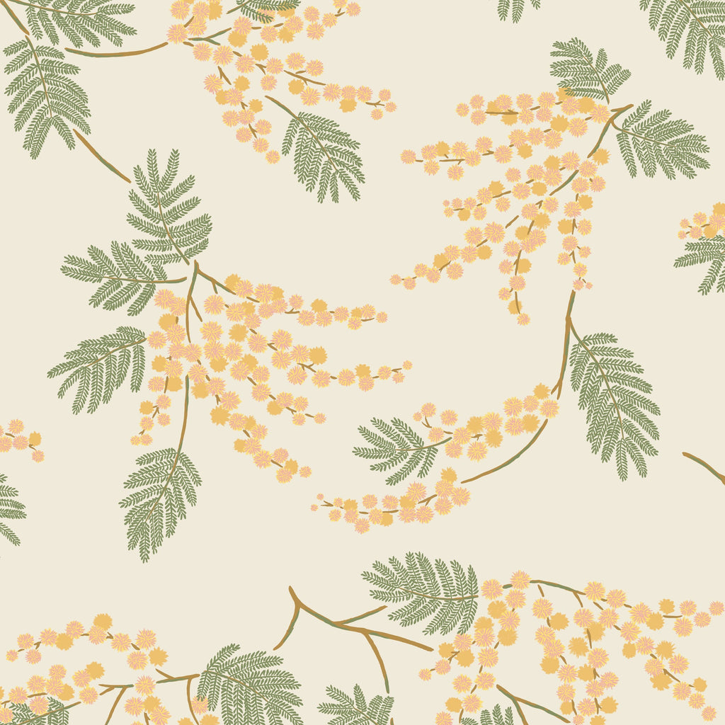 Acacia Flower Wallpaper