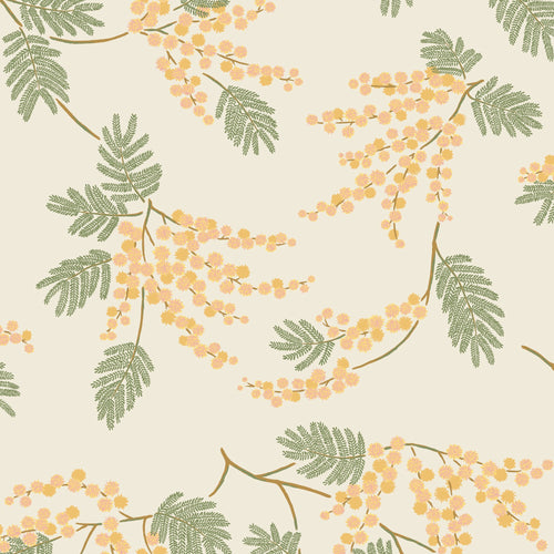 Acacia Flower Wallpaper