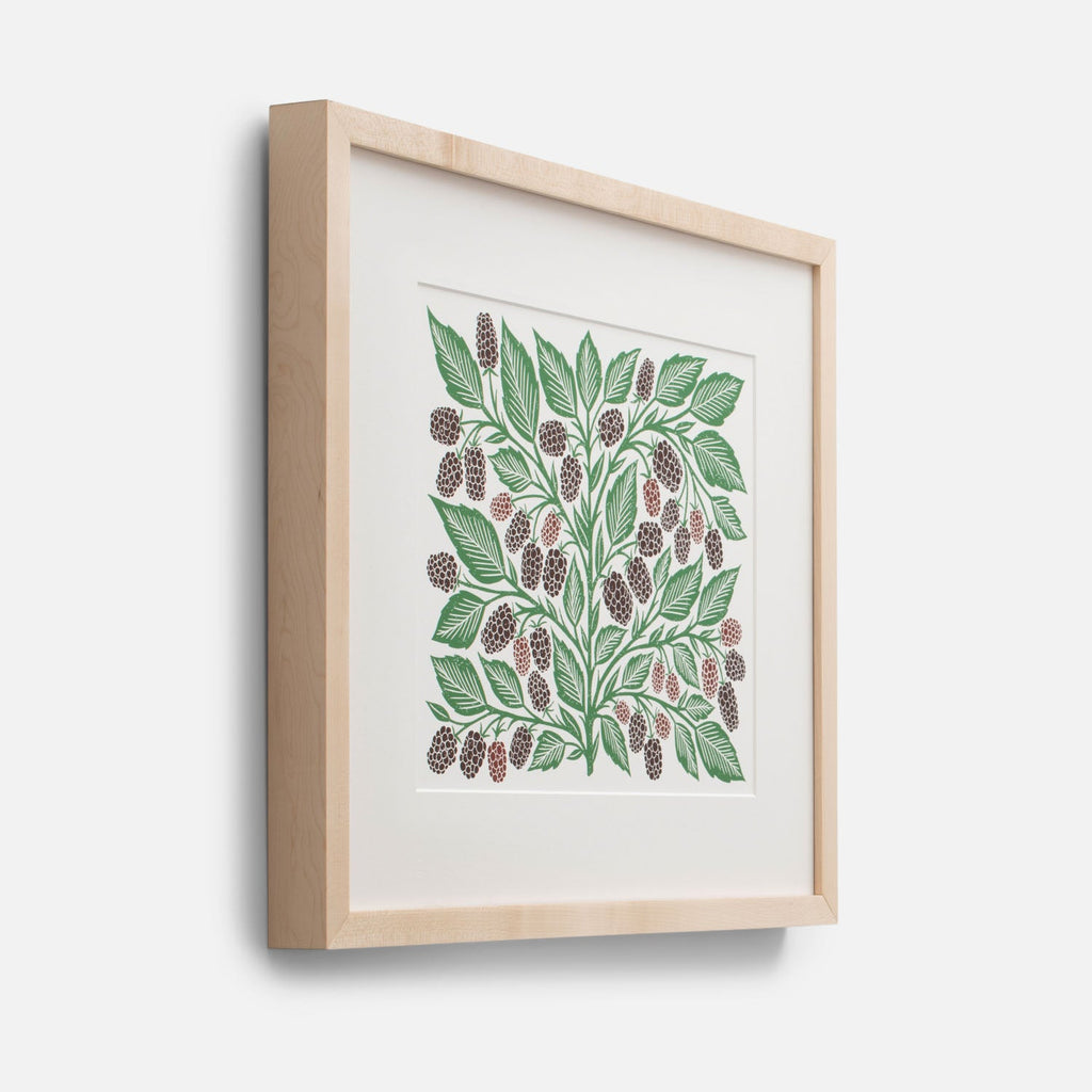 Marionberries Print