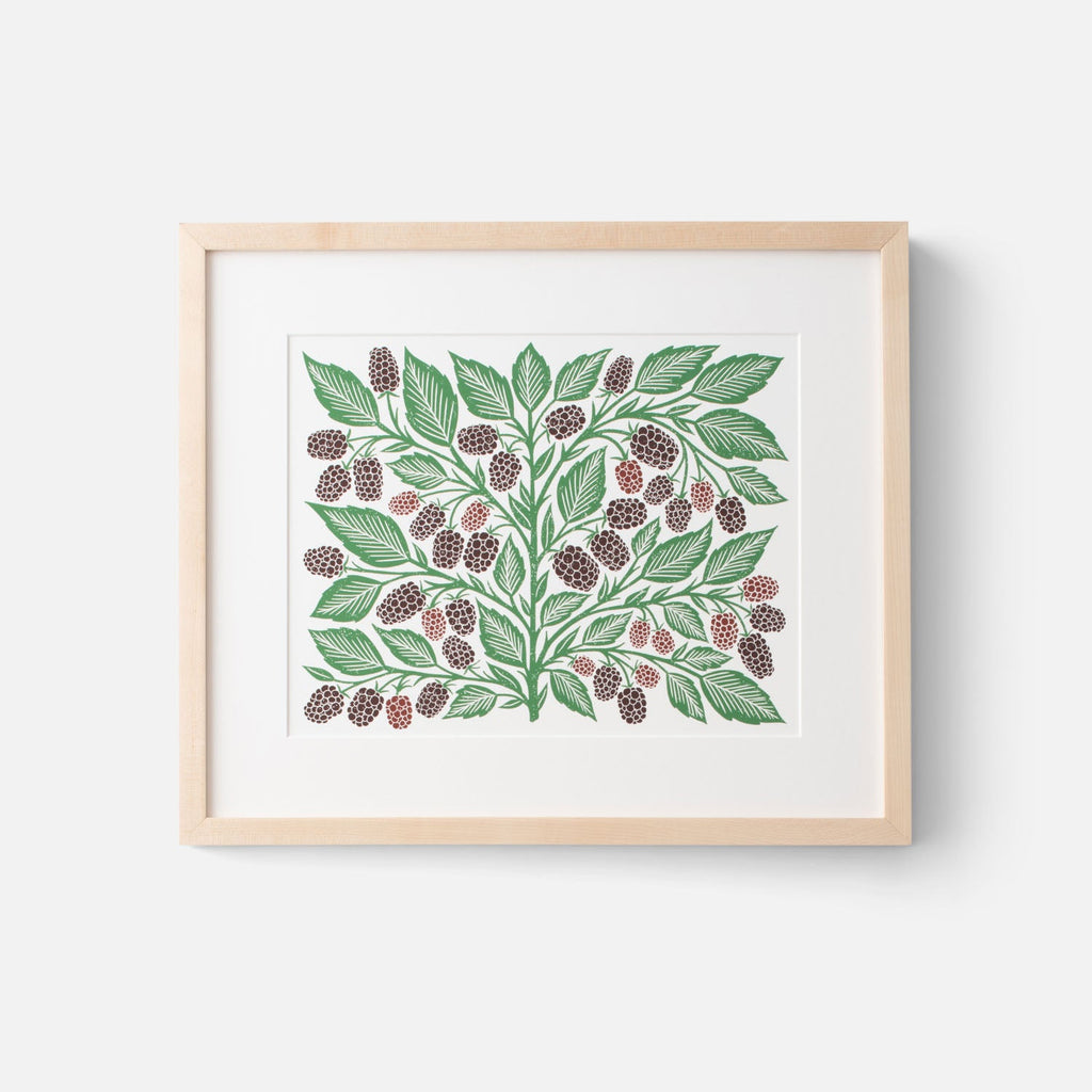 Marionberries Print