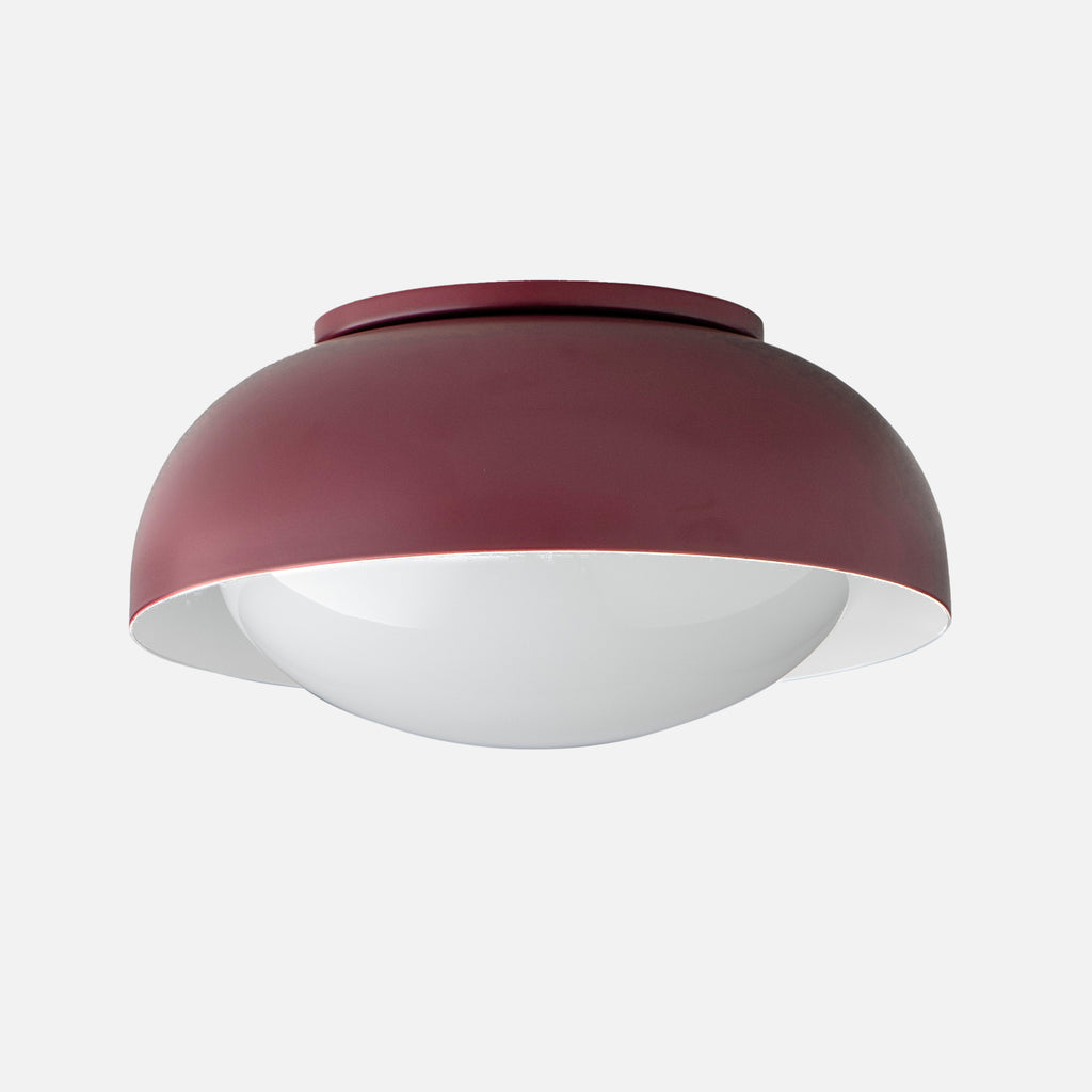 Ray 8"