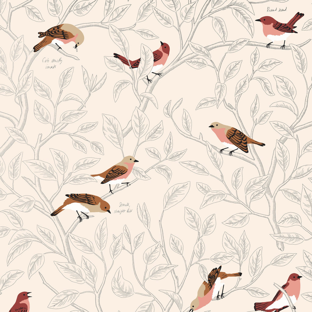 Field Guide Wallpaper