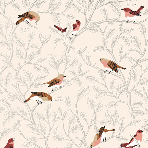 Field Guide Wallpaper