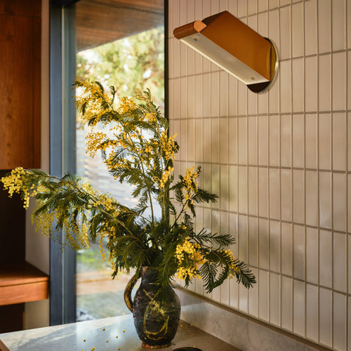 Schoolhouse x Roll & Hill Bento Sconce
