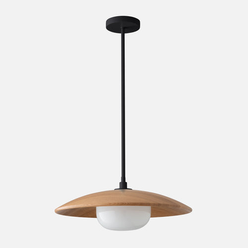 Atwood 20" Pendant::Black-Satin::main