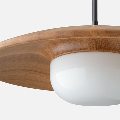 Atwood 20" Pendant::Black-Satin::hover