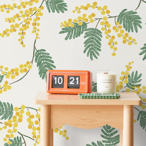 Acacia Flower Wallpaper