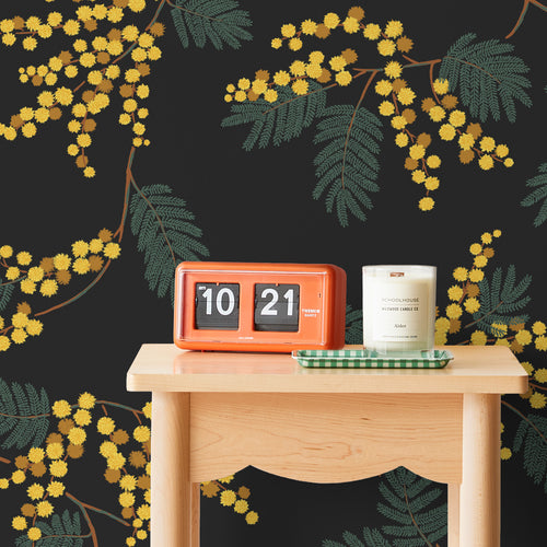 Acacia Flower Wallpaper