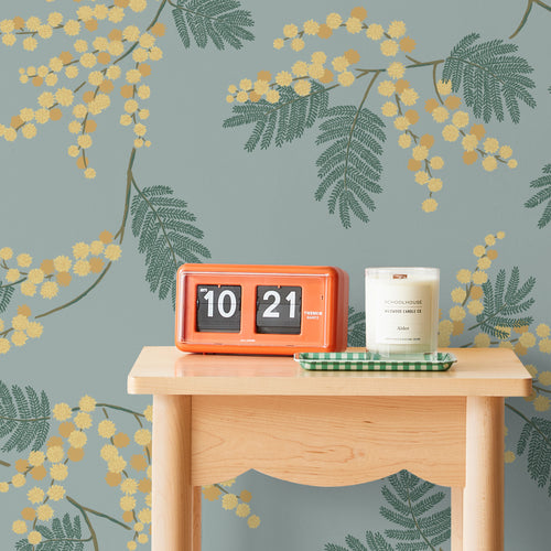 Acacia Flower Wallpaper