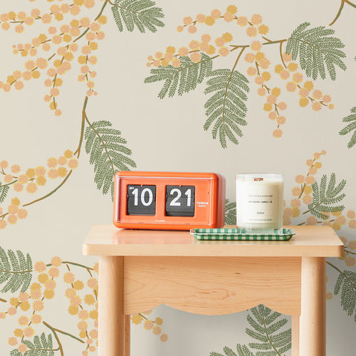 Acacia Flower Wallpaper