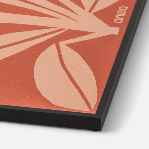 Coneflower Framed Print by Anisa Makhoul