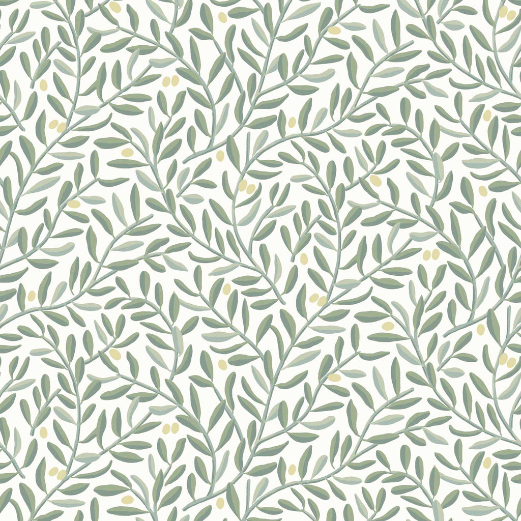 Olive Grove Wallpaper