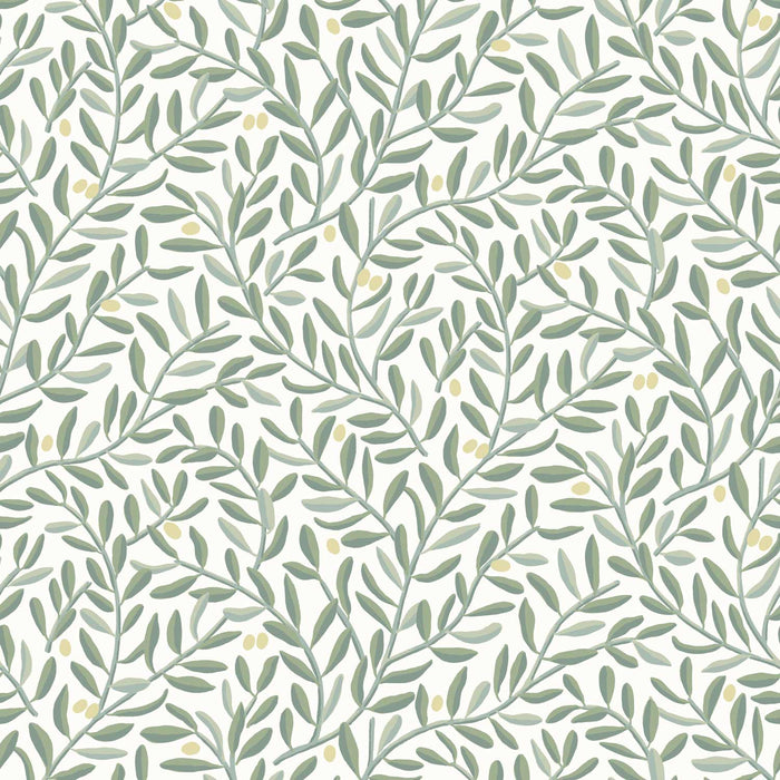 Olive Grove Wallpaper