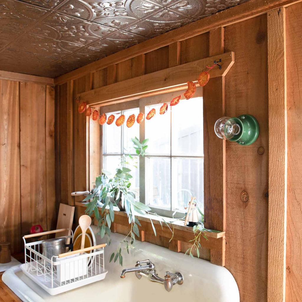 Alabax Small::juniper::hover