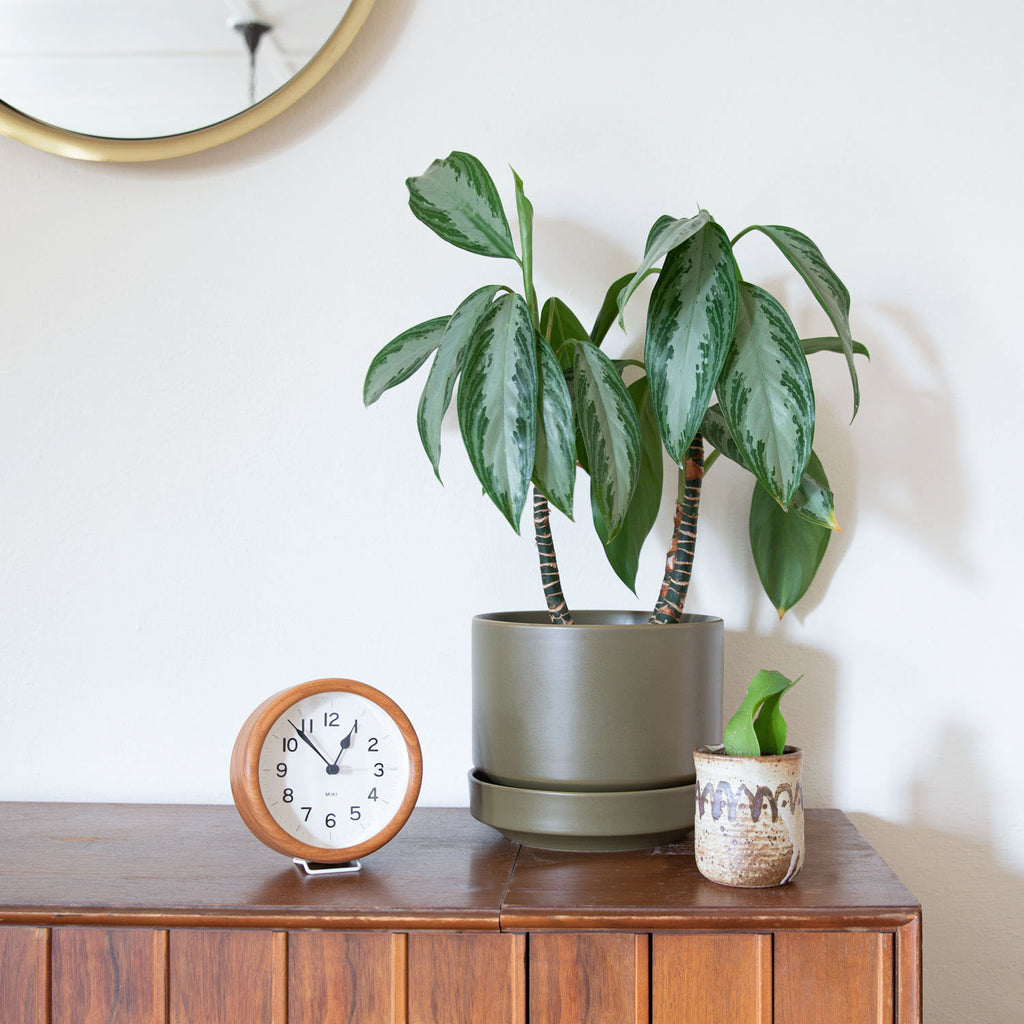 Wood Table/Wall Clock
