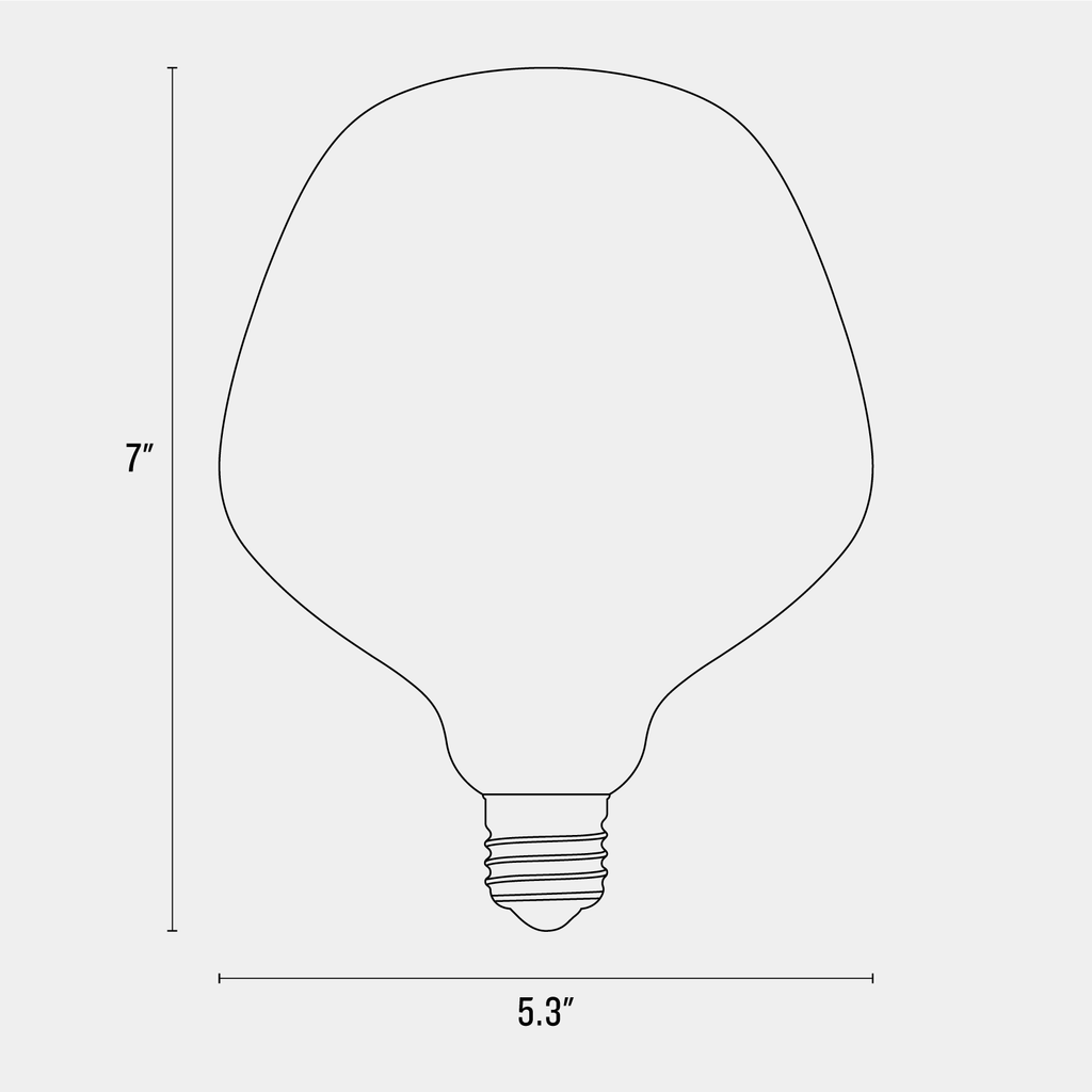 Acorn Matte Porcelain LED Bulb