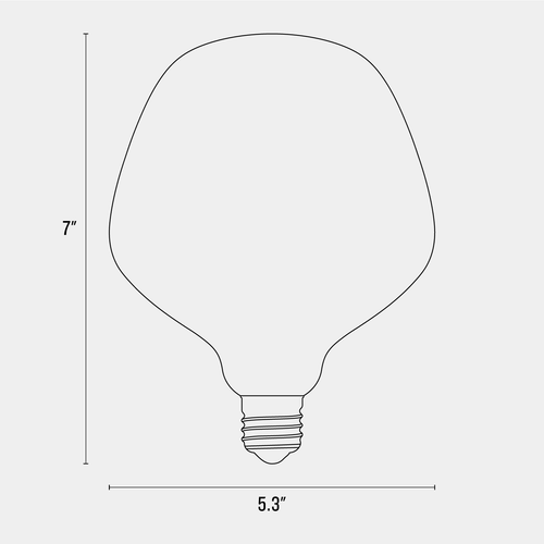 Acorn Matte Porcelain LED Bulb